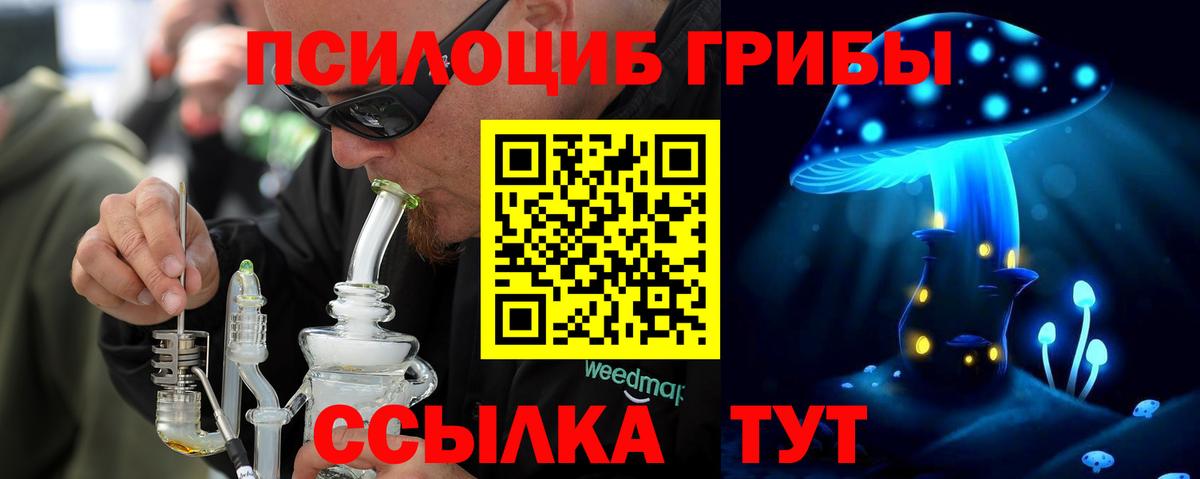 Зеленогорск  Псилоцибиновые грибы Psilocybe  Вход с VPN 